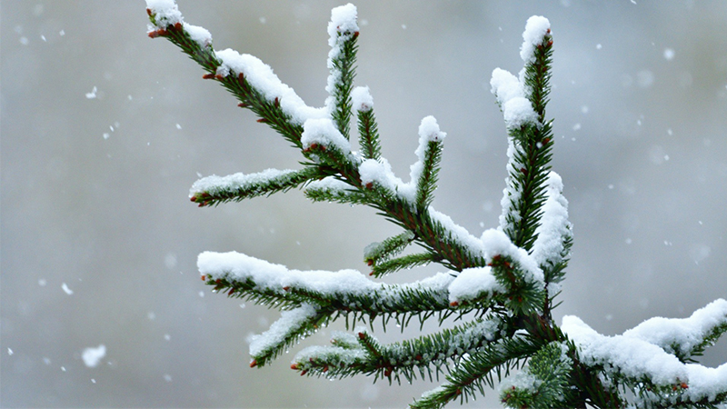 Heat Pump Options for Cold Climates: Decoding Extended Heating Performance