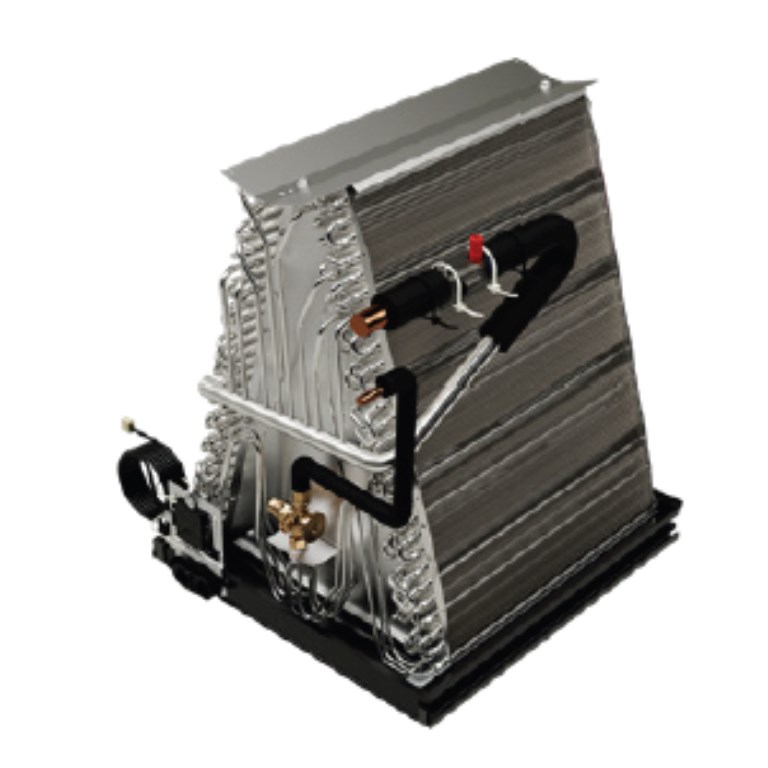 cauta image_2025-11-03t06-58-36.jpg